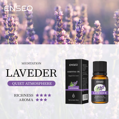 Aromatherapy Essential Oil Gift Set with 6 Scents