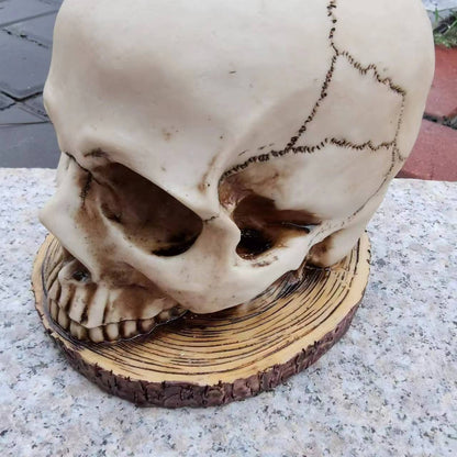 Meditation Skeleton Resin Sculpture