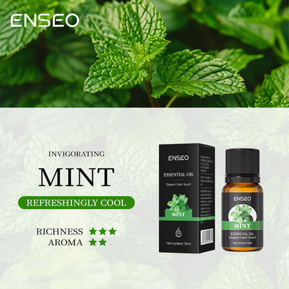 Aromatherapy Essential Oil Gift Set with 6 Scents