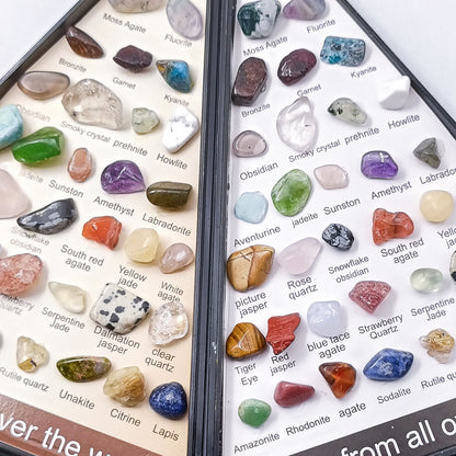 36-Piece Natural Crystal Mineral Specimen Collection Box