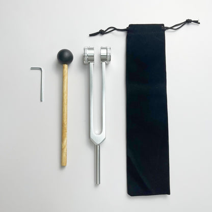 Professional Ear Cleaning Tuning Forks