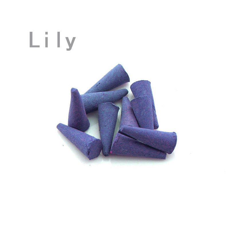 Natural Botanical Incense Cones — 500g Bulk Bag