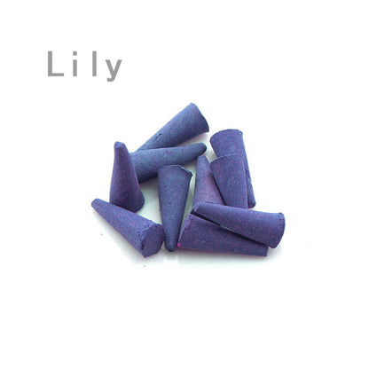 Natural Botanical Incense Cones — 500g Bulk Bag